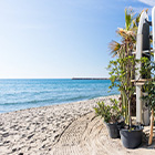 plage de Canet en Roussillon