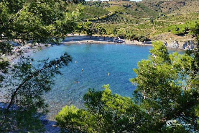 l’Anse de Paulilles sur la Côte Vermeille